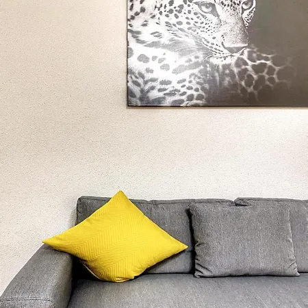 Centre Au Calme , Parking Prive Interieur Car Et Bike Appartement *