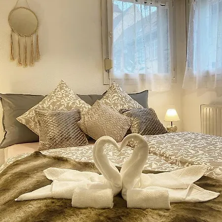 Appartement Centre Au Calme , Parking Prive Interieur Car Et Bike Saverne