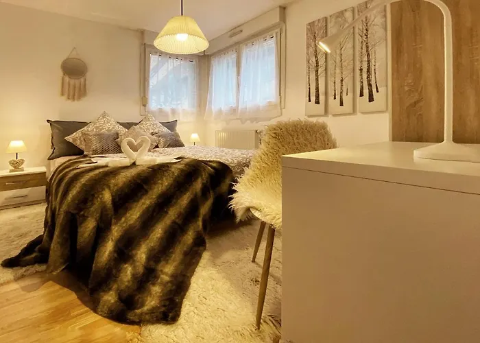 Apartamento Centre Au Calme , Parking Privé Intérieur Car Et Bike *